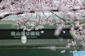 【图集】花丛中的地铁站！贵阳这个地铁站美翻了！图片