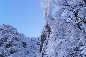 语文积累：冷门但惊艳的高分成语集锦图片