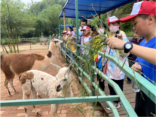 四川省民生研究会新媒体中心-官网