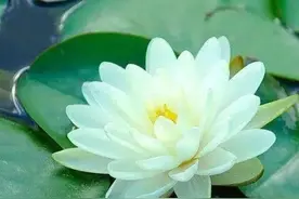 听陈奕迅的歌图片