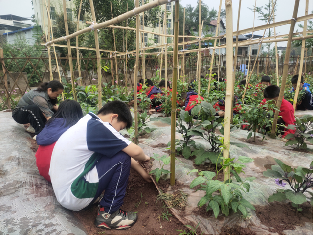 四川省民生研究会新媒体中心-官网