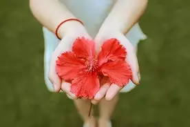 中老年女性“倒开花”，可能不是重返青春，或与疾病有关，别忽视图片