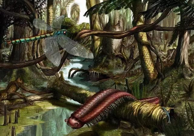 59米(远古蜈蚣虫图片) - 冷思维