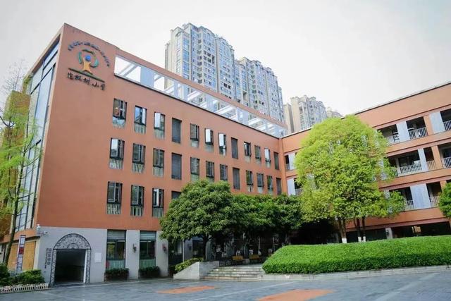 除了“五朵金花”，成都各个区还有哪些公办小学值得考察