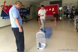 “呆萌小鸟”受伤，民警与热心小朋友成功救助国家二级保护动物图片