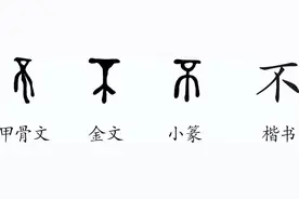 说文解字系列之（五五）：简单的汉字不简单：不图片