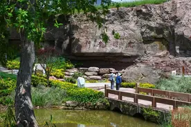 假日艳阳 天府机场版“空港花田”人气旺图片