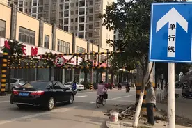 开车误入单行道咋办？不要慌，老司机教你该怎么做图片