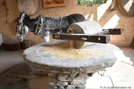 小小说——驴图片