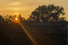太虚在缙云山邀集重阳诗会图片