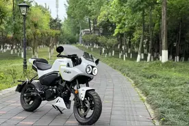 测评春风XO狒狒赛车手︱呆萌可爱，瑕不掩瑜图片