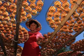 台灣你不知道的事4：人口結構組成分析台灣的內幕图片