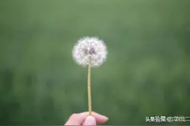 80后如果以后当了婆婆，估计无理取闹的儿媳妇就都老实了图片