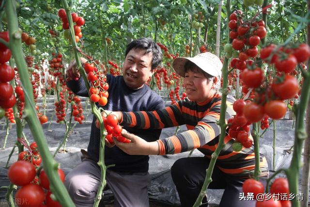 菌种怎么制作（生物菌剂价格高假货太多）