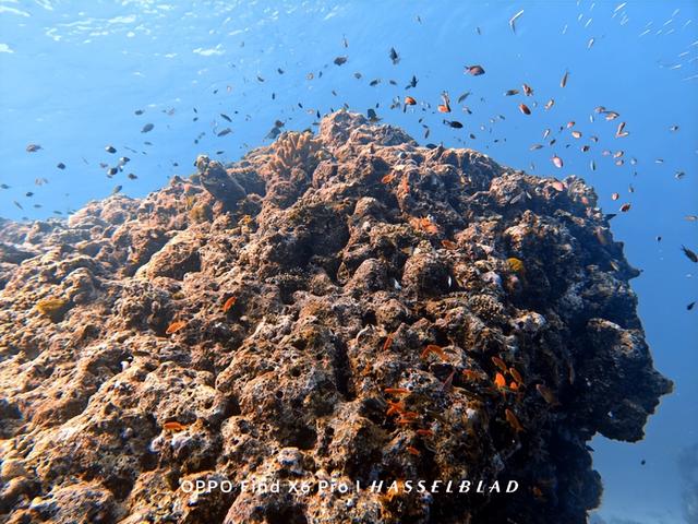 ʵ�⣬����Ǳˮ����õ�����װ������Щ