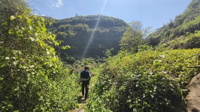 綦江永新石灰沟古道，至今保持原始风貌，太平桥背后故事悲壮感人
