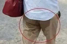 国产黑马突破传统坐垫！夏天开车、上班久坐8小时，屁股也不闷湿图片