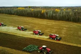 国土面积第一的俄罗斯，远东农业为何荒废？为何没有像样的粮仓？图片