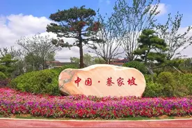 西北工业重镇——蔡家坡图片