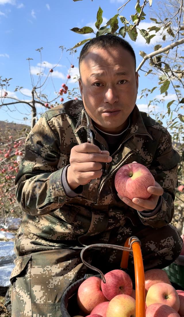 农村博主"张同学"凉了?本人回应