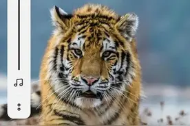 为你写诗，赞冬泳一位帅哥新人图片