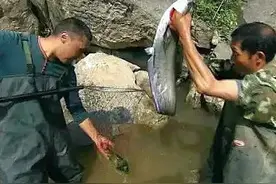 四川广元“鲶鱼洞”，每年都会往外涌鱼，鱼是哪来的？图片