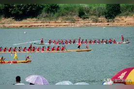 明日端午，这5种“阳菜”要多吃，美味营养解暑气，安康过夏日图片