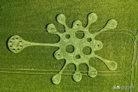 舍雷肽酶、纳豆激酶和菠萝蛋白酶：降解刺突蛋白，修复新冠后遗症图片