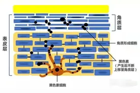 宝妈别警惕！这三类护肤品可能对胎儿有害，怀孕护肤别踩雷图片