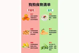 狗狗“能吃”和“不能吃”的东西有哪些：别再盲目给狗狗喂东西啦图片
