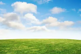 夏（随笔·散文）图片