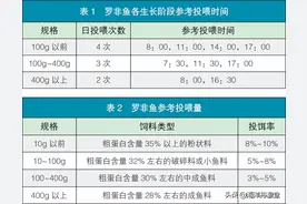 华南沿海咸淡水地区 罗非鱼与南美白对虾混养技术图片