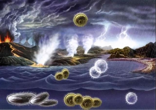 科学家首次证实，小行星上存在多种氨基酸，地球生命真来自太空？