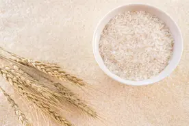 为什么更推荐大家喝大米汤，而不是小米汤？一般人我都不告诉他图片