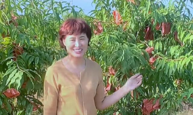 感谢中国网,感谢王站长