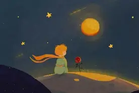 《小王子》——你在玫瑰上花的时间 让玫瑰变得重要图片