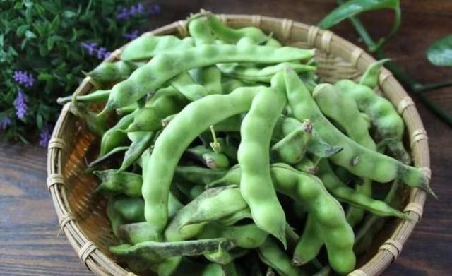 17种豆角你都吃过吗?