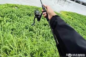 新手向路亚装备：我的新手老手微物大鱼泛用装备和钓鱼经验分享图片