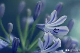 一个人对亲人脾气暴躁、对外人和气：三个原因图片