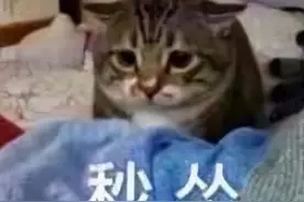 《我不是药神》的一张照片，没授权出镜两秒，对方开口48万赔偿图片