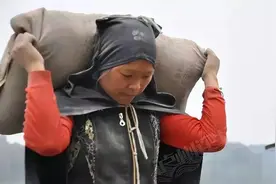 河南七旬老人扛水泥登上热搜，周教授：这是我们整个社会的耻辱图片