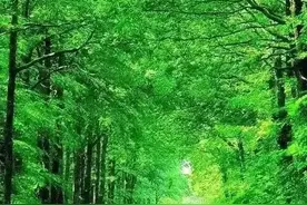 俞敏洪GRE核心词汇 乱序版Word List 24图片