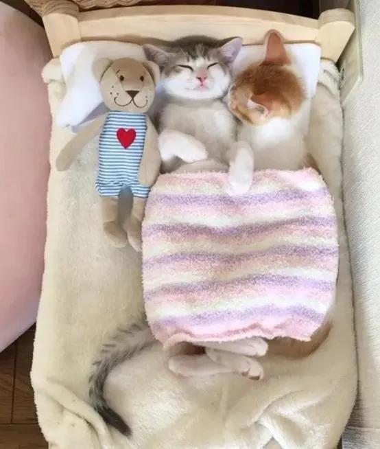 ����ʵ������Ӫ���İ�