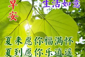 夏日安好祝福动态表情包 最真挚的早上好动态祝福图片图片