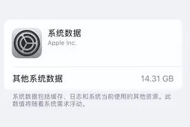 iPhone 储存空间“其它”和“其它系统数据”是什么，如何清理？图片