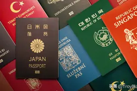 2025全球最强护照排名图片