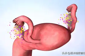 女性魅力的“润滑剂”，雌激素有哪些作用？5点需要了解图片