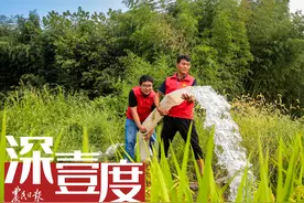气候变化对农业影响利弊考图片