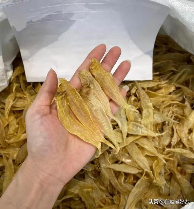 花胶减肥可以吃吗 花胶减肥可以吃吗百度百科