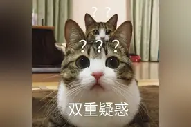 六个月女婴竟然来看妇科图片